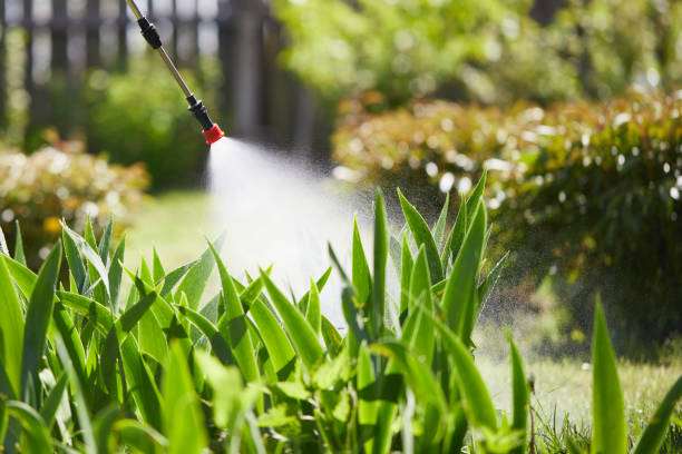 24/7 Emergency Cockroach Control experts in Liberty Hill, TX