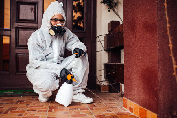 Reliable Cockroach Control contractor in Liberty Hill, TX by Nex Pest Control